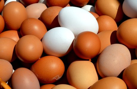 כמה ביצים מותר לאכול ביום ?